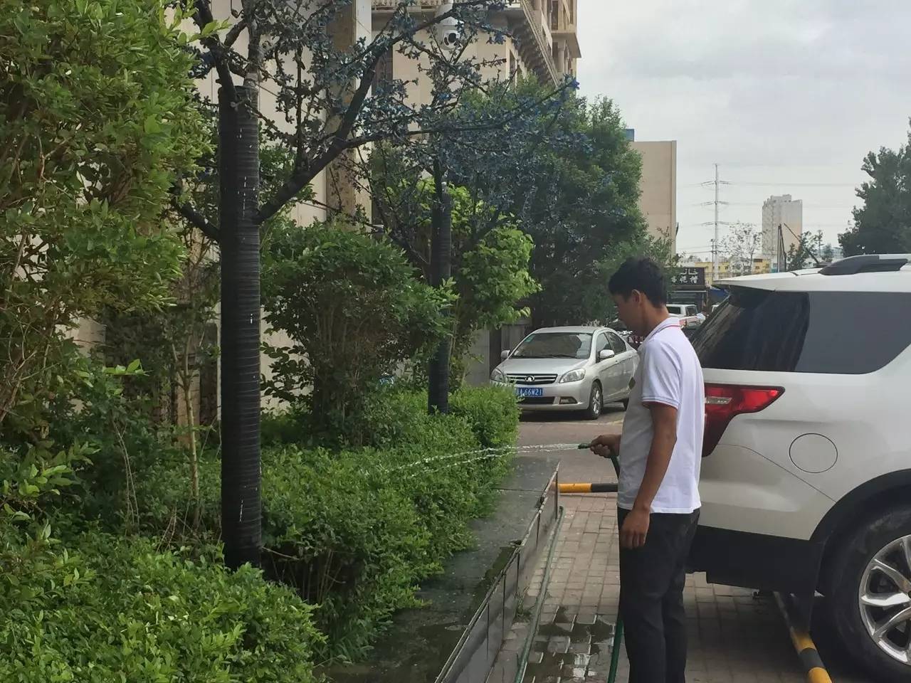 艾乃斯·吐送分配至保潔部在工作中